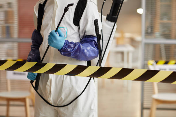 Professional Sewage Cleanup technician working in Sparta, NJ